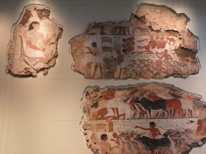 Paintings of Nebamun viewing his geese and cattle